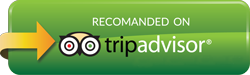 Trip Advisor 